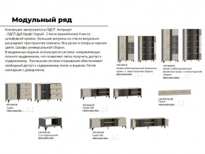 Гостиная Отис Дуб Крафт Серый/Антрацит в Южноуральске - yuzhnouralsk.mebel74.com | фото 5