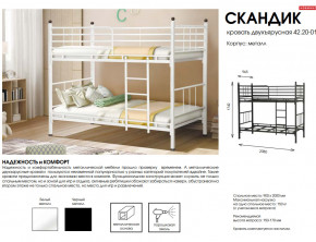 Кровать двухъярусная Скандик 42.20-01 в Южноуральске - yuzhnouralsk.mebel74.com | фото 2