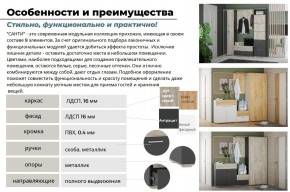 Прихожая Санти Антрацит в Южноуральске - yuzhnouralsk.mebel74.com | фото 5