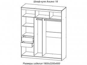 Шкаф-купе Альянс 18 комплект зеркал №4 в Южноуральске - yuzhnouralsk.mebel74.com | фото 2