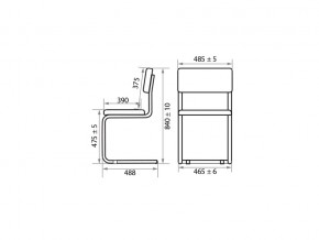 Стул Sylwia chrome Z11 в Южноуральске - yuzhnouralsk.mebel74.com | фото 2